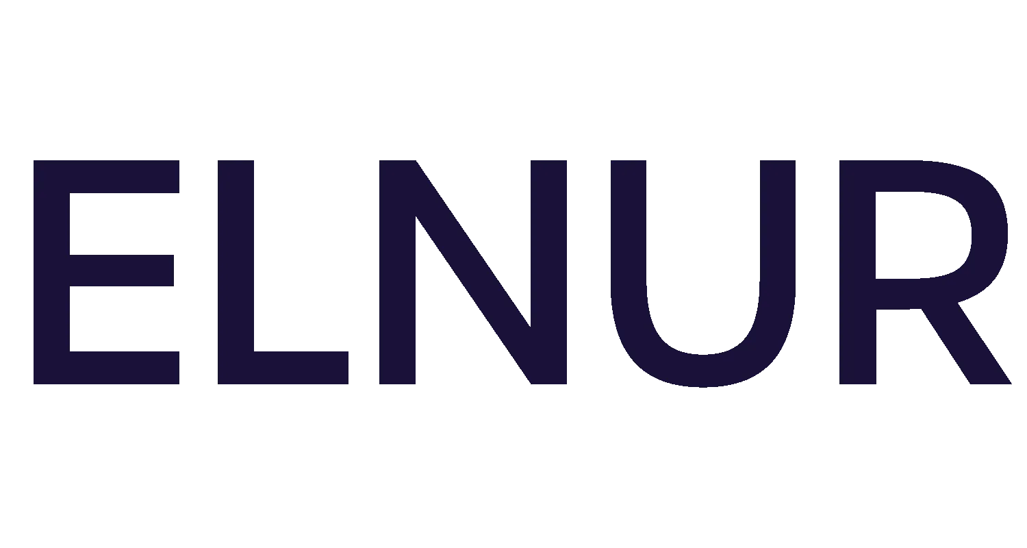 Elnur Logo